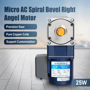 25W 110-230V 80MM AC Spiral Bevel Right Angle Induction Motor