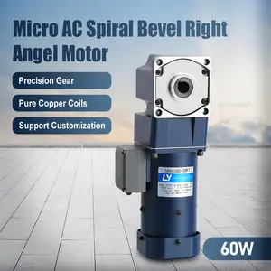 60W AC Spiral bevel right angle Motor