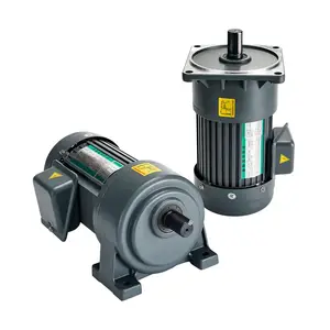 Essential Things You Should Know About Low Rpm Gear Motors