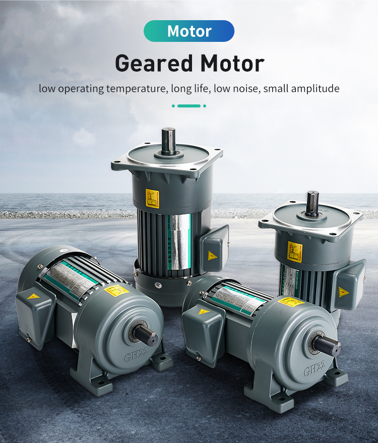 Low Rpm Motors