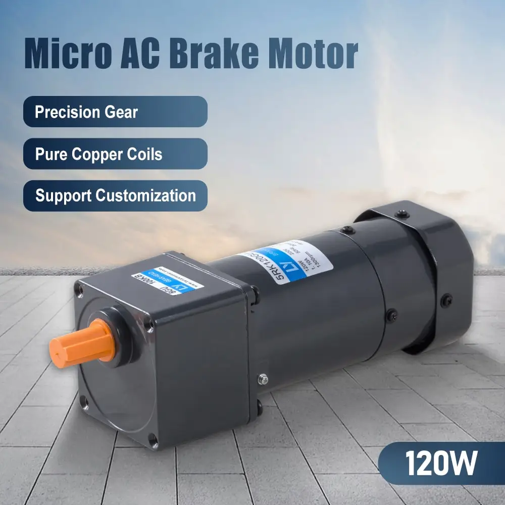 120W AC brake motor