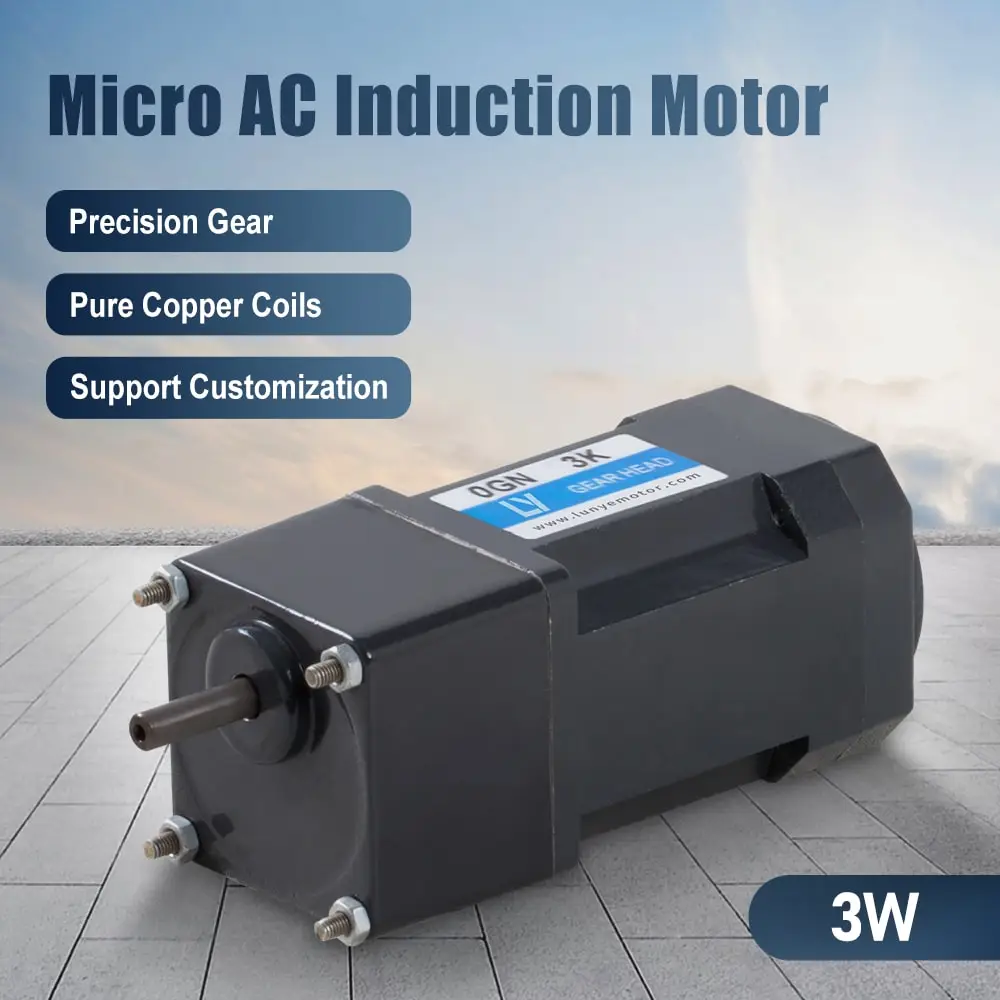 3W 110-120V 42mm Single-phase AC Induction Motor