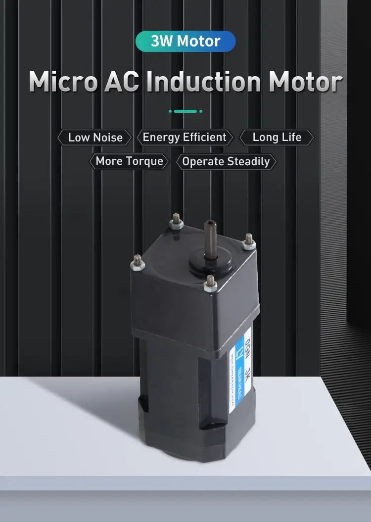 3W AC induction motor