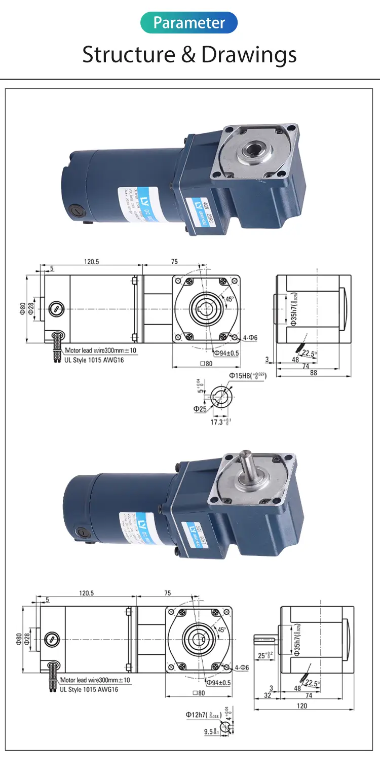 25W Parameter Spiral Bevel Right Angle Brush Motor