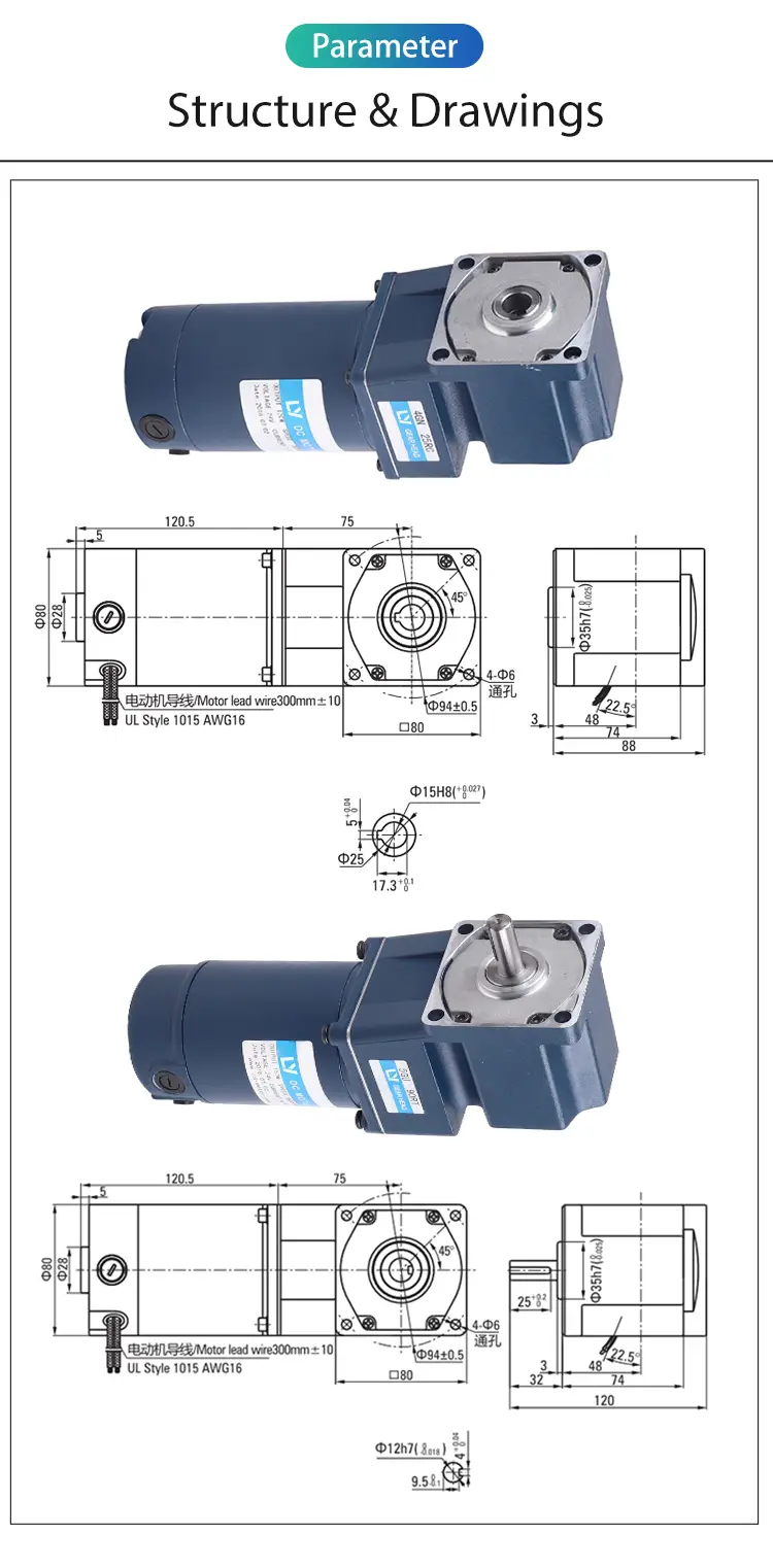 40W Parameter Spiral Bevel Right Angle Brush Motor 