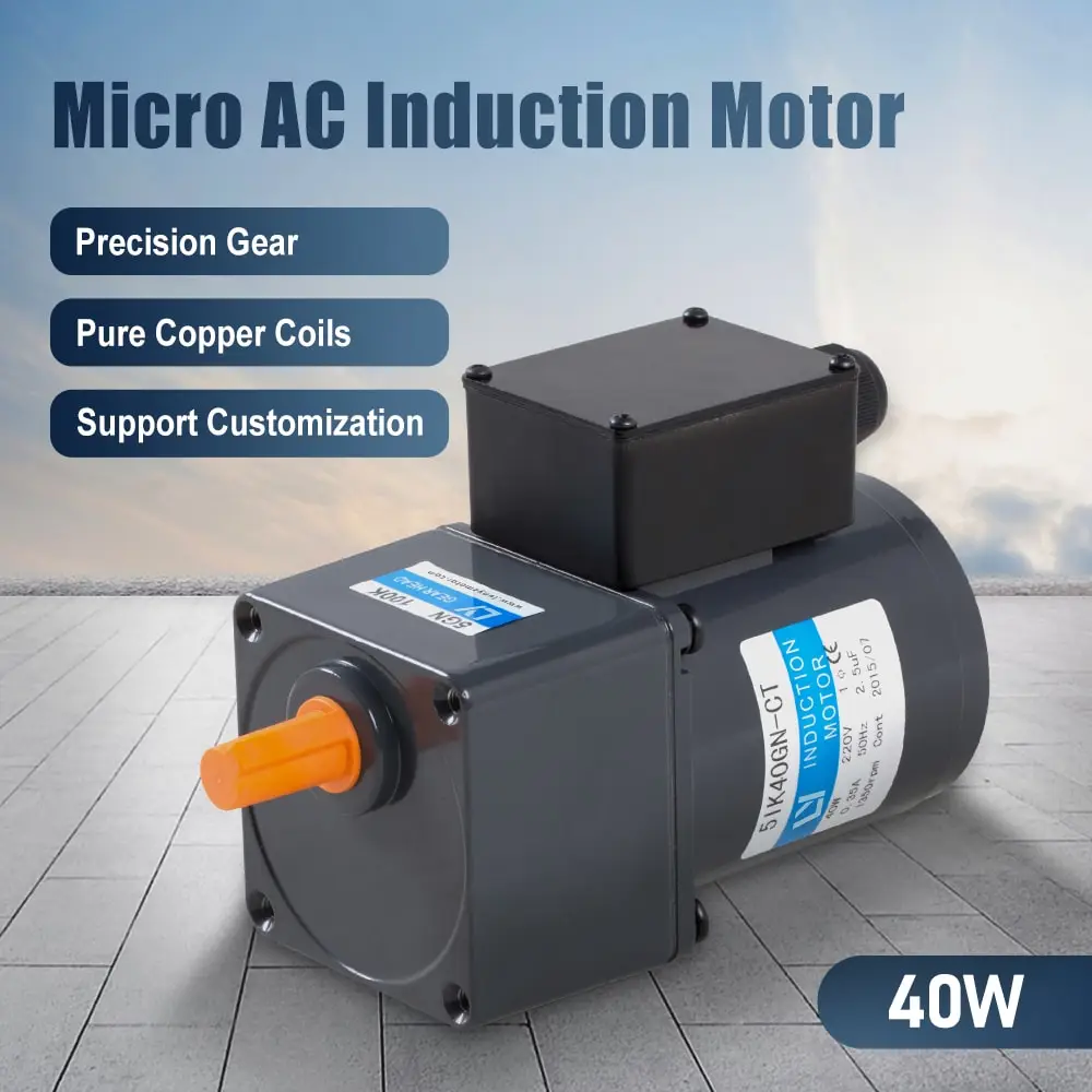 40W AC induction motor