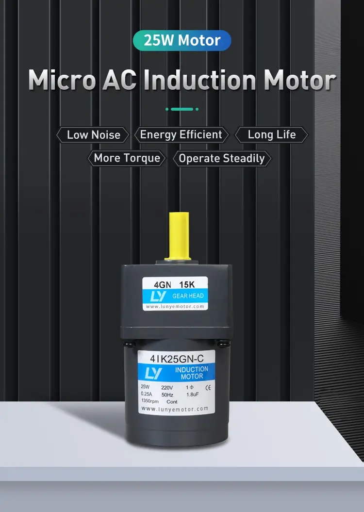 25W AC induction motor