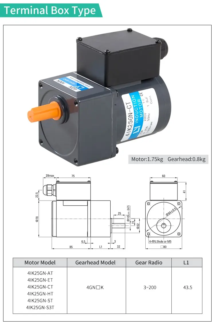 25W AC induction motor parameters