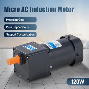 120W AC induction motor