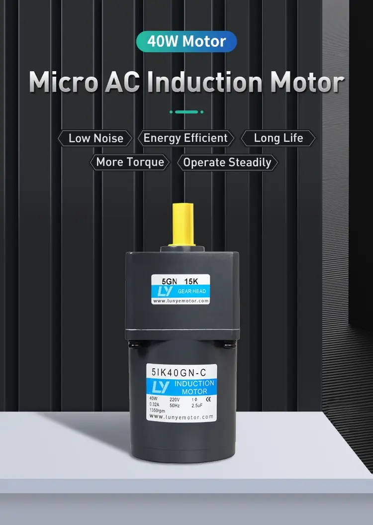 40W AC induction motor