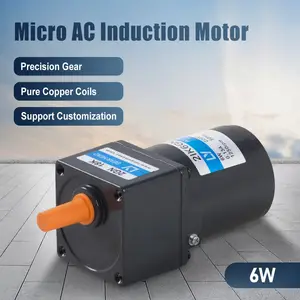 6W AC induction motor
