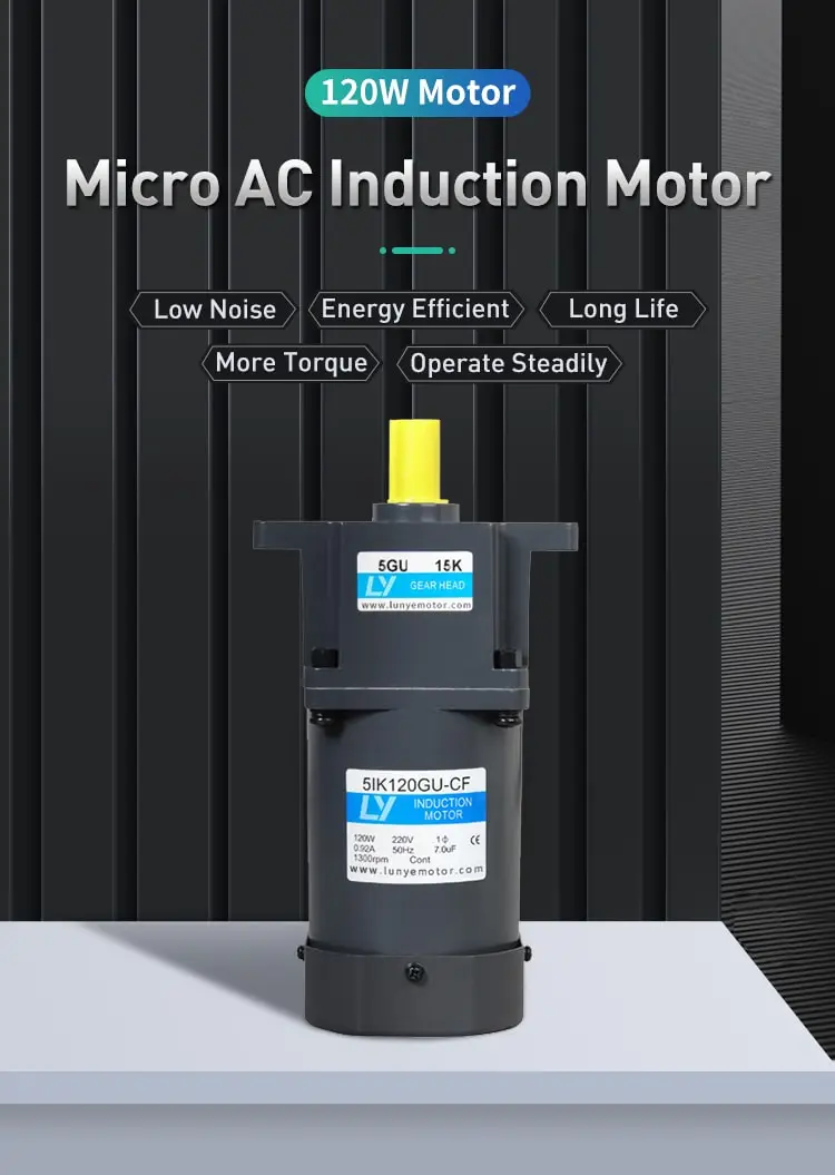 120W AC induction motor