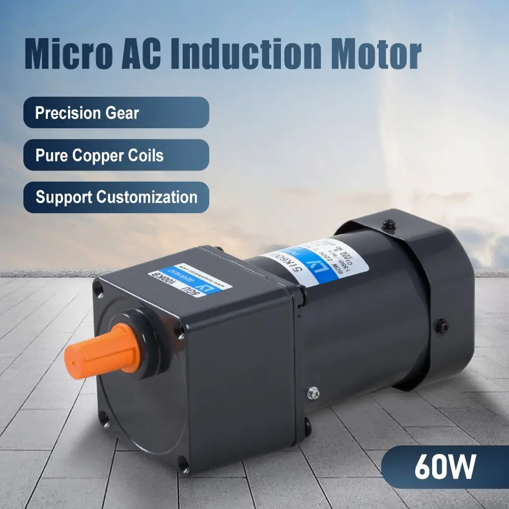 60W AC induction motor