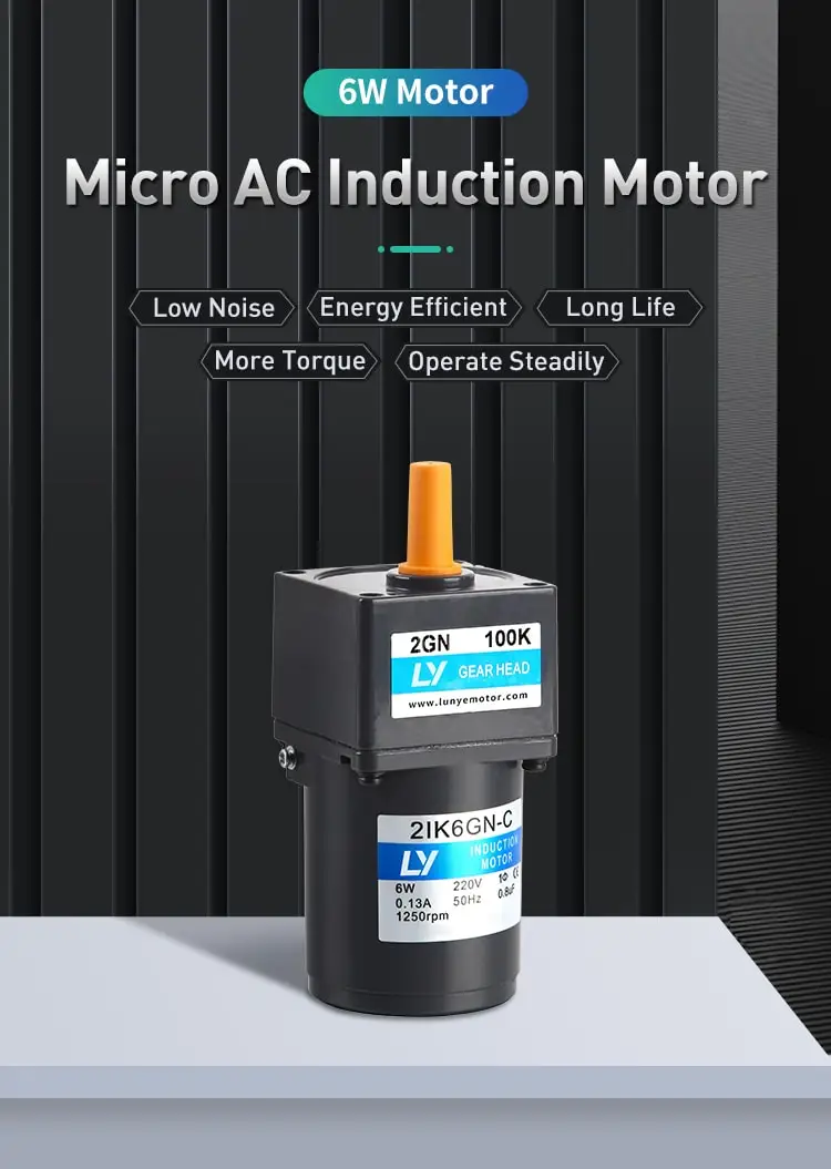 6W AC induction motor