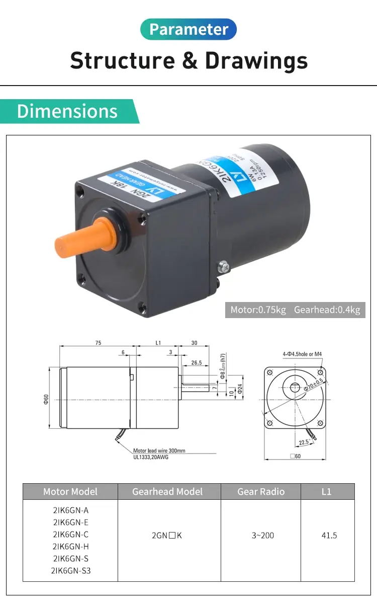 6W AC induction motor parameters