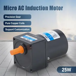 25W AC induction motor