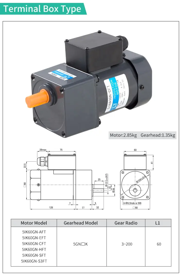 60W AC induction motor parameters
