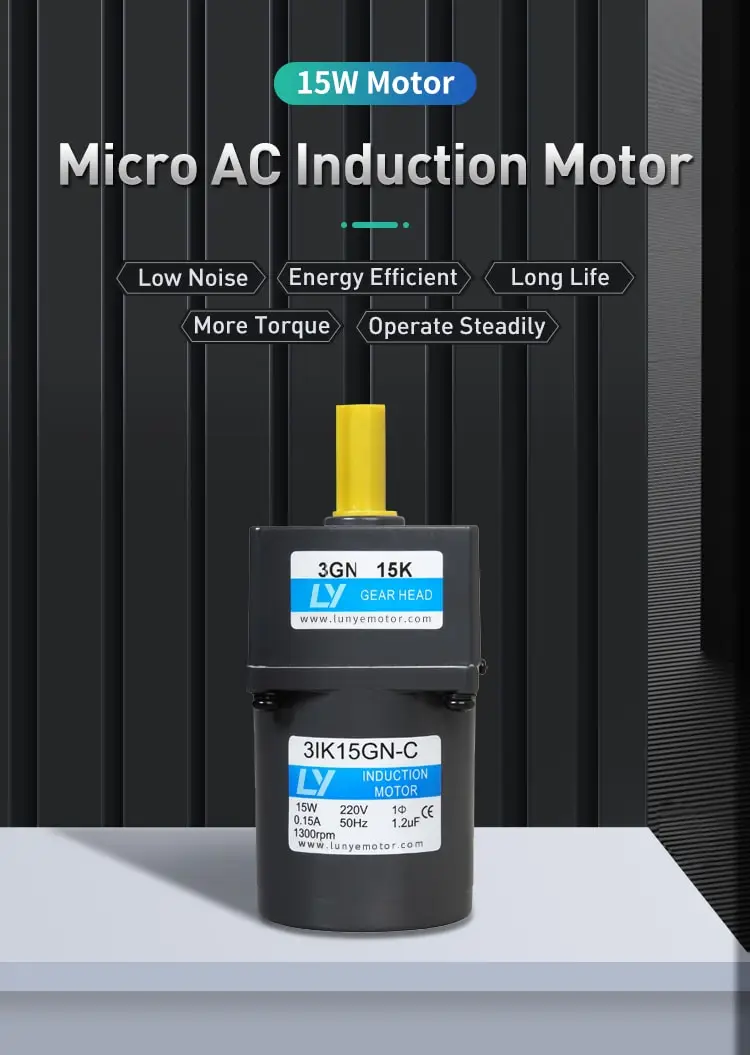 15W AC induction motor