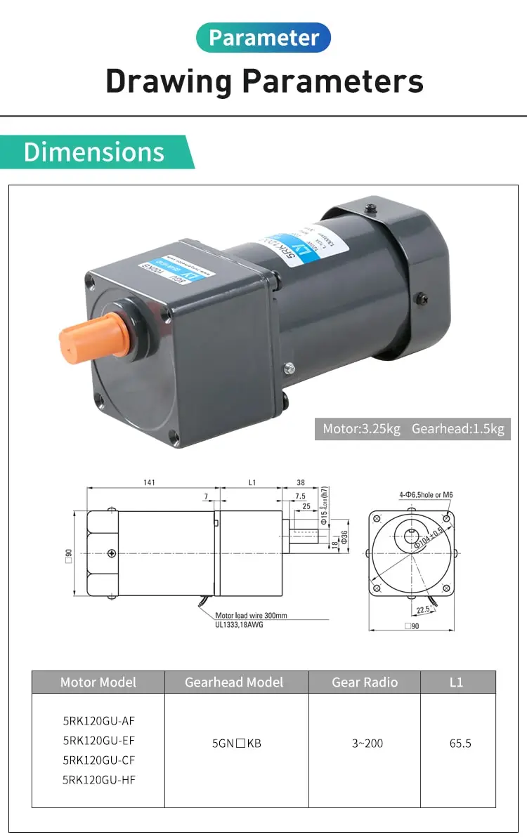 6W AC reversible motor parameters