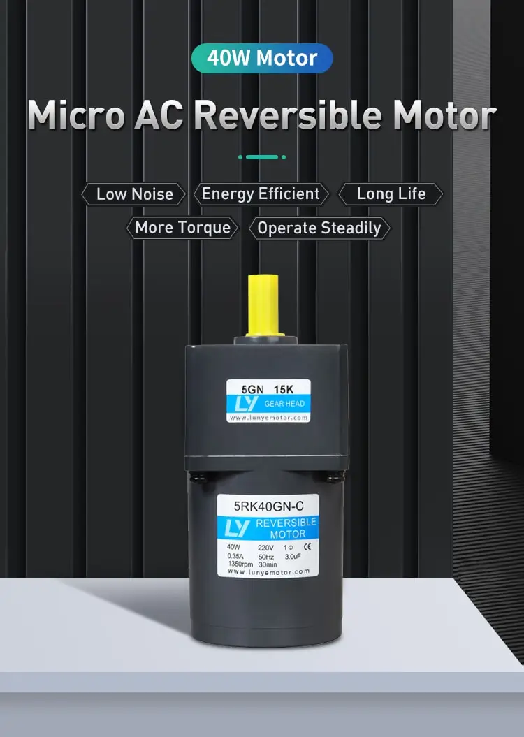 40W AC reversible motor