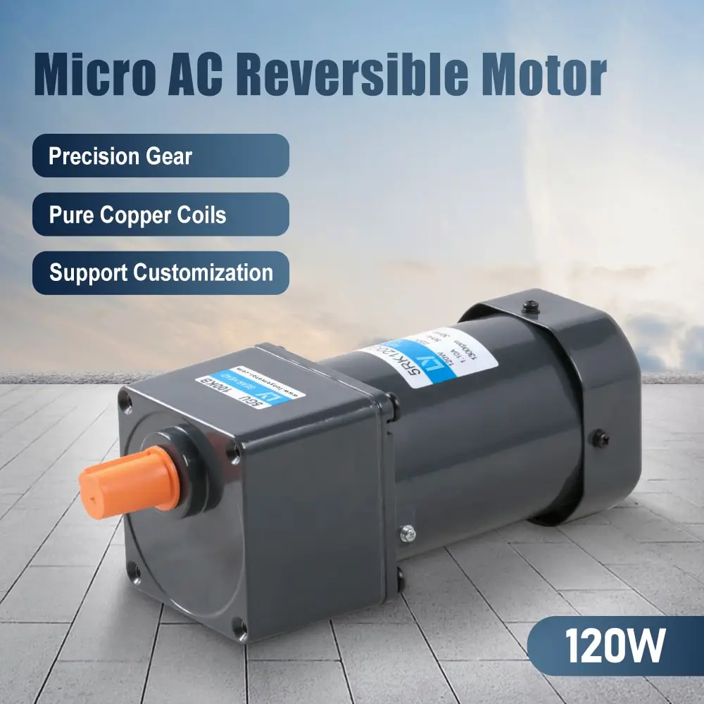 120W AC reversible motor