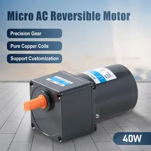 40W AC reversible motor