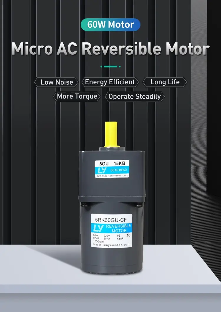 60W AC reversible motor