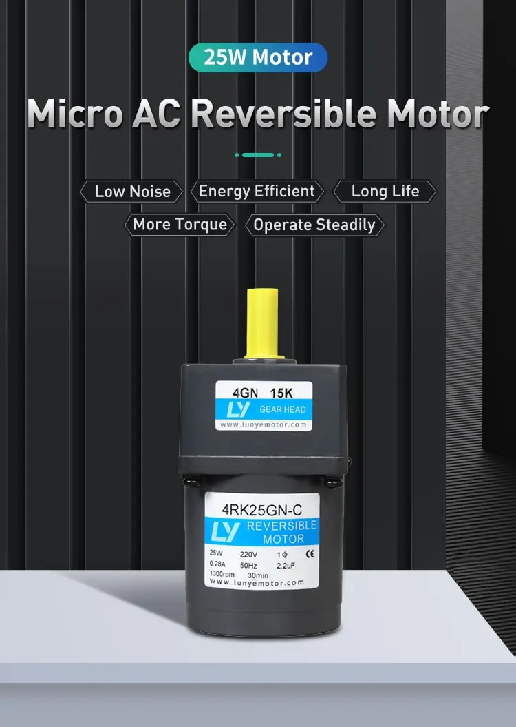 25W AC reversible motor