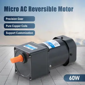 60W AC reversible motor