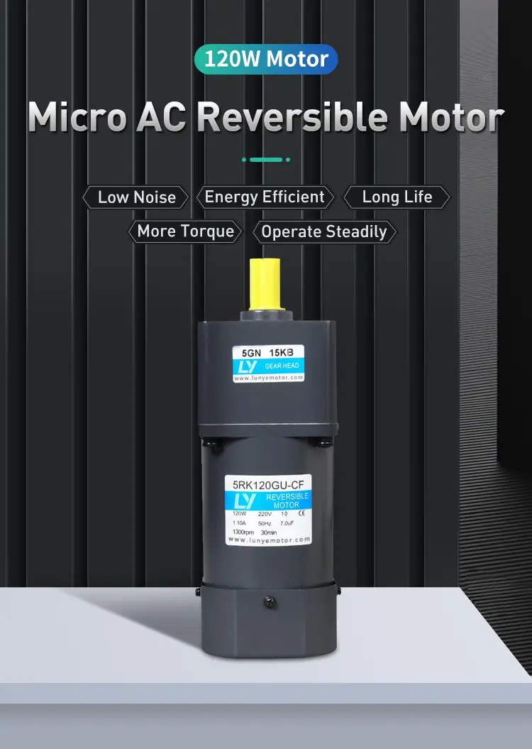 6W AC reversible motor