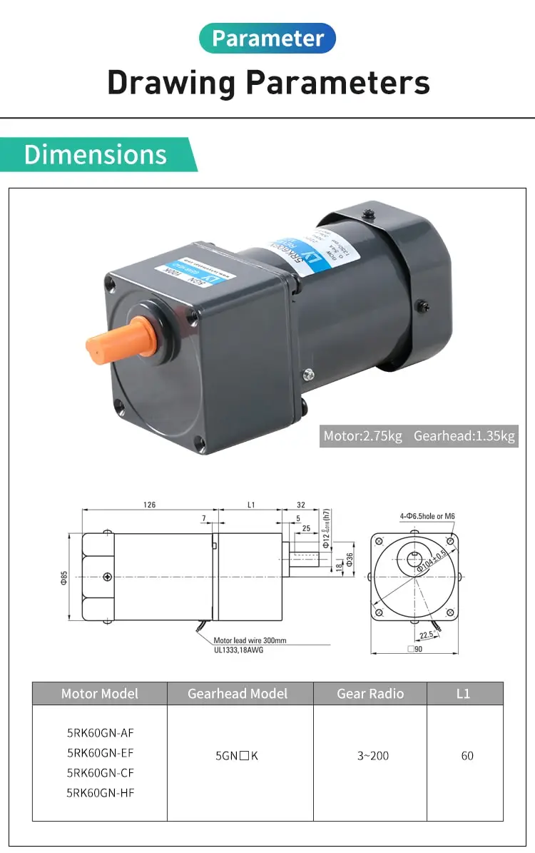 60W AC reversible motor