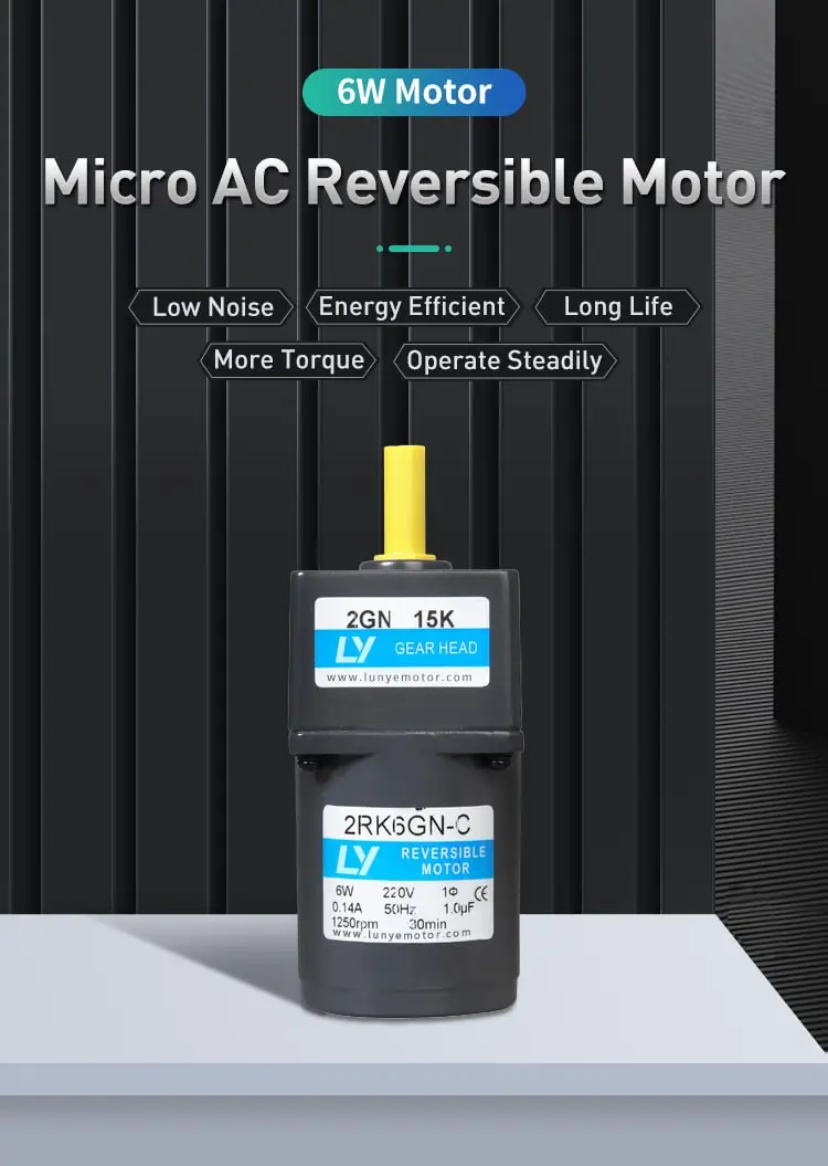 6W AC reversible motor