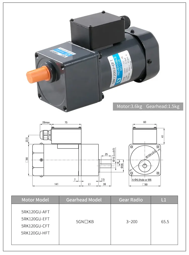 6W AC reversible motor parameters