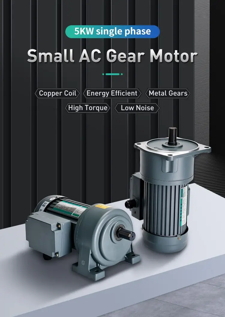 5.0W small AC motor