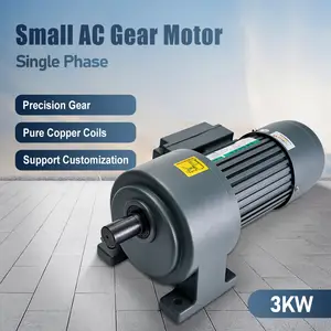 3.0KW single-phase small AC geared motor