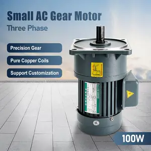 100W 220V Three-phases small AC Gear motor 