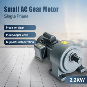 2.2KW single-phase small AC geared motor
