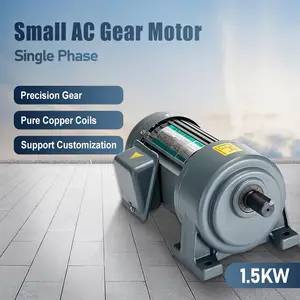1.5KW single-phase small AC geared motor