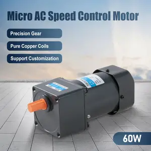 60W AC speed control motor
