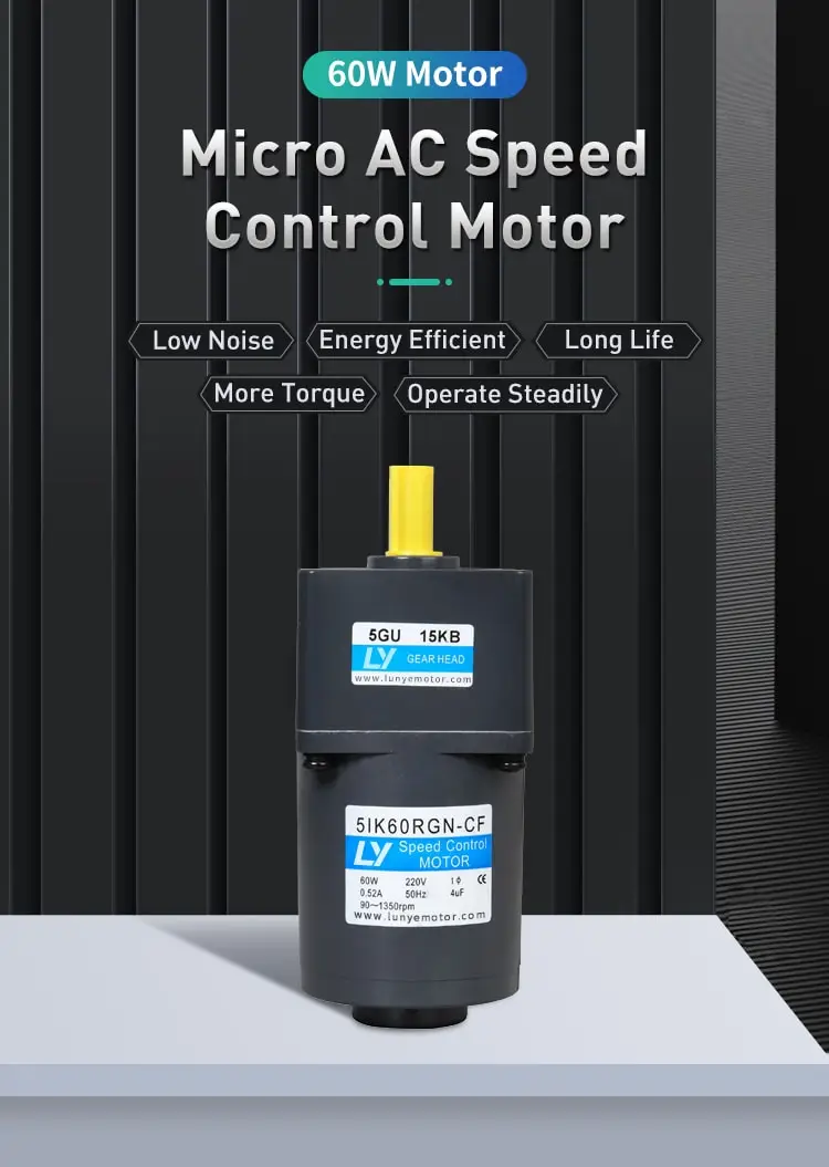 60W AC speed control motor