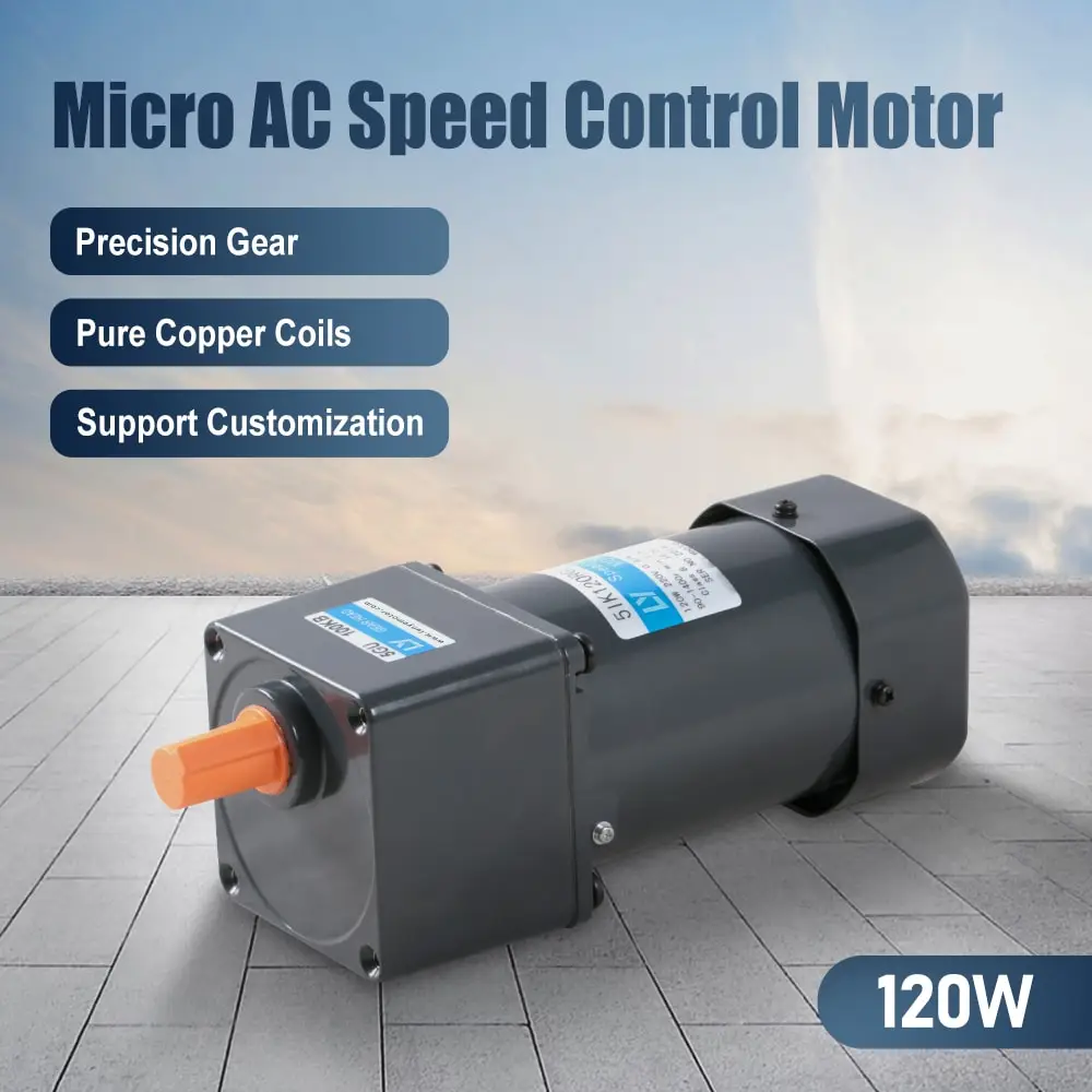120W AC speed control motor