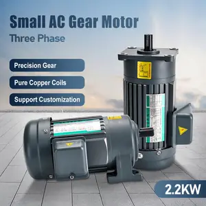 2.2KW 220V three phase small AC motor