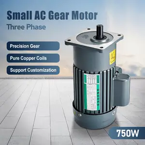 750W 220V Three-phases small AC Gear motor
