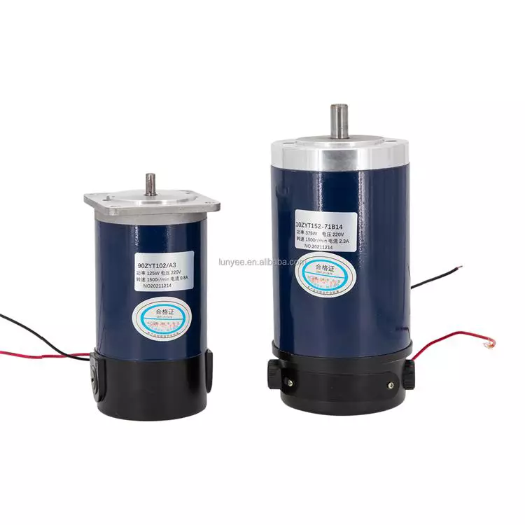 100-1500W 24-220V Brushed PMDC Customized motor