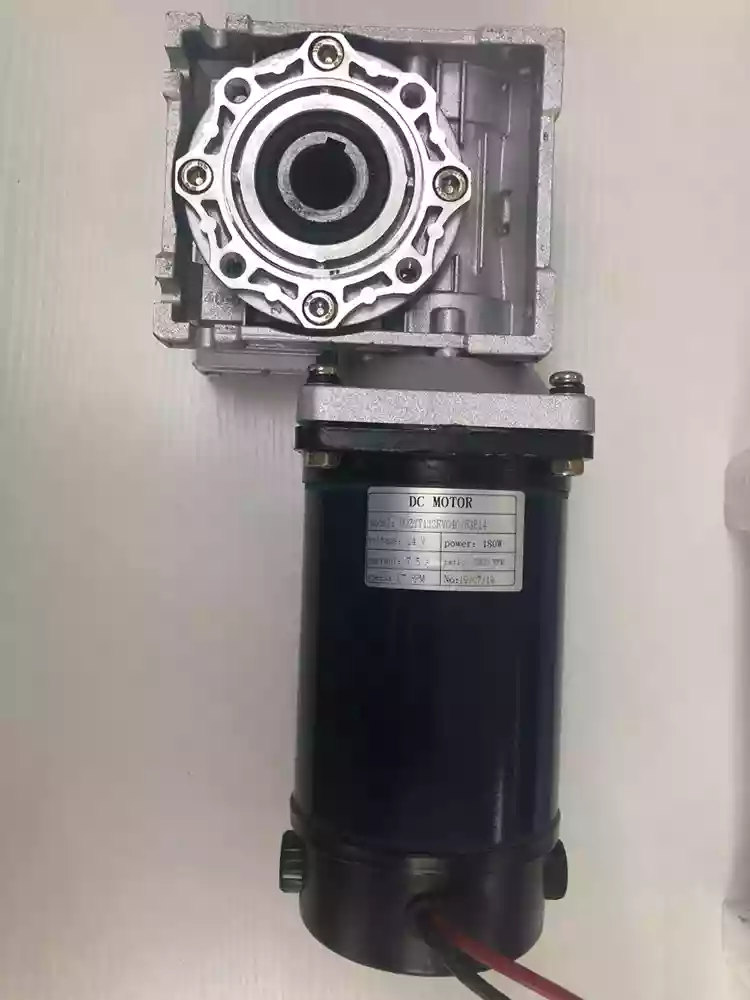 100-1500W 24-220V Brushed PMDC Customized motor