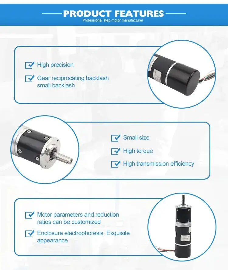 18W 12-24V 3500rpm Planetary BLDC worm Gear Motor