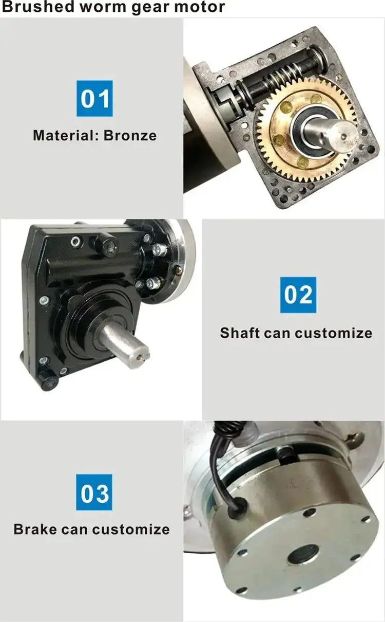 200W 12-24V 60-250RPM DC Worm Gear Motor