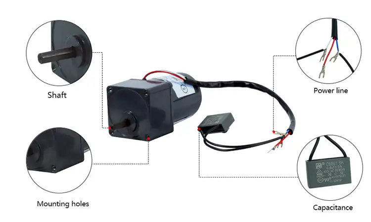 20W 220V AC Torque Motor with Gearbox
