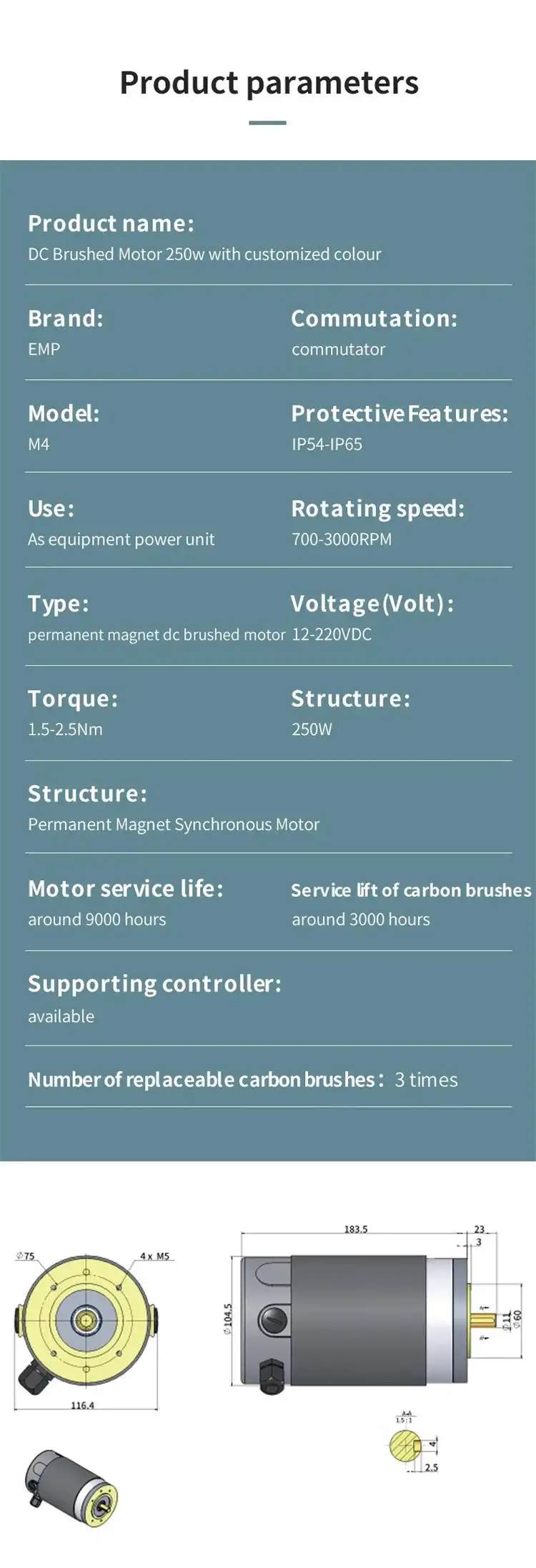 250W 12-60V 700-3000RPM Permanent Magnet Brushed Dc Motor