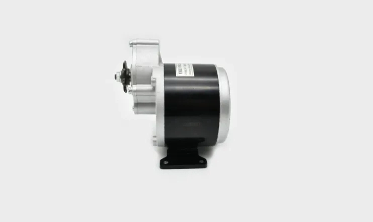 250W 24V Brush DC Gear Waterproof Motor